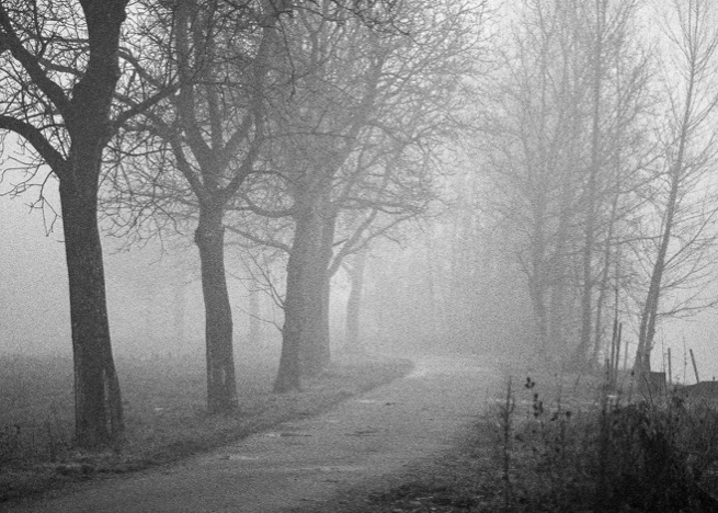 A0002 - Weg im Nebel