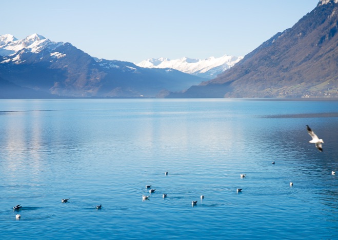 A0052 - Brienzersee, Switzerland
