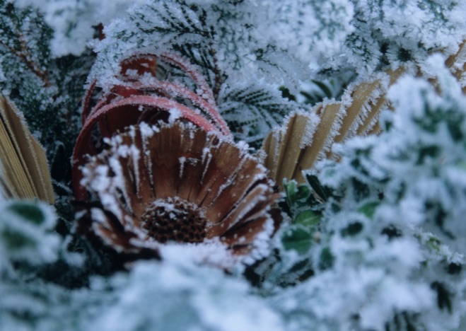 A0060 - Trockengesteck im Frost