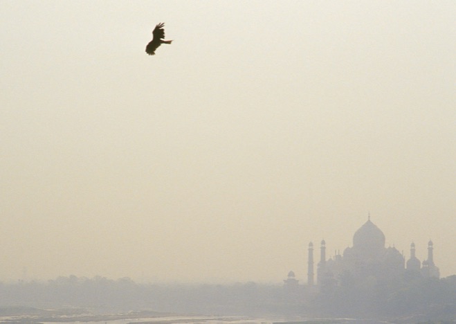 A0094 - Taj Mahal, Agra, India