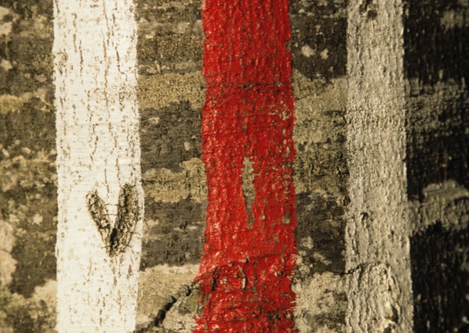 A0112 - Wanderweg