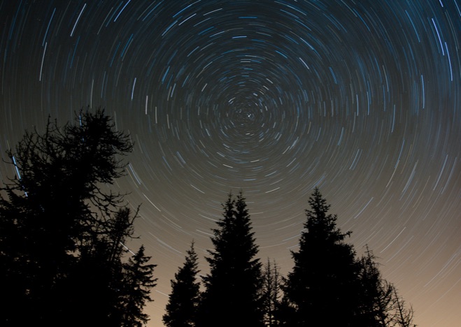 A0214 - Star Trails mit Bäumen am unteren Rand