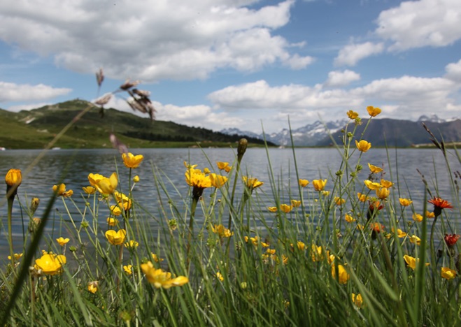 A0222 - Frühling, Schweiz