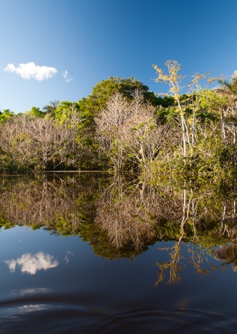 A0298 - Amazonas, Ecuador