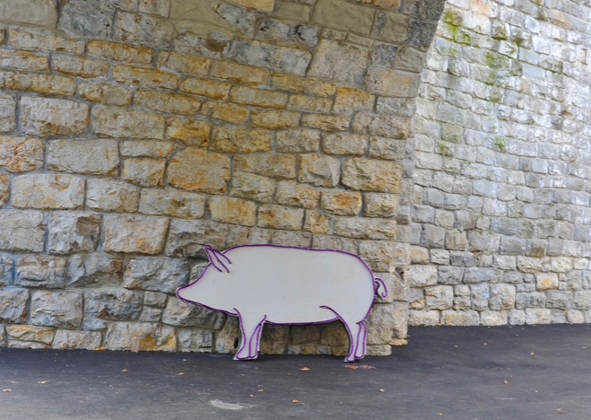A0314 - Schwein Gehabt