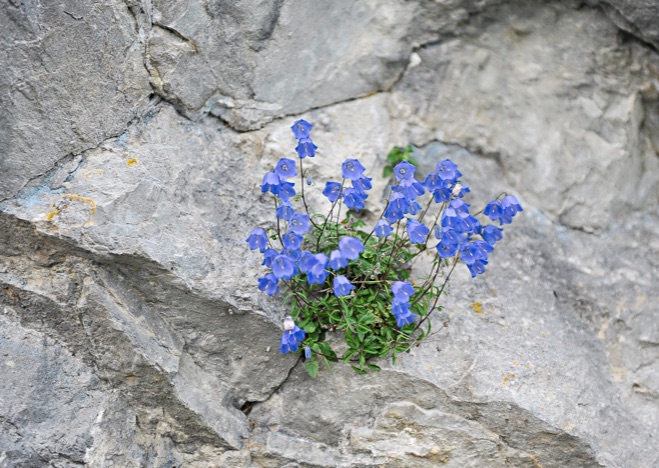 A0384 - im Felsen