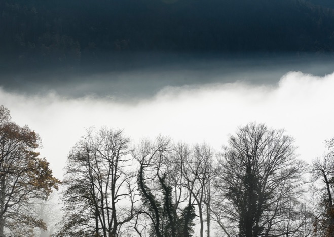 A0400 - Waldnebel