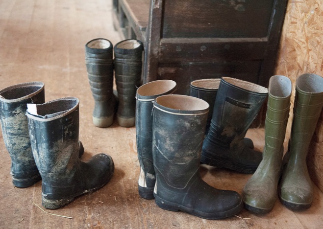 A0425 - Stiefel