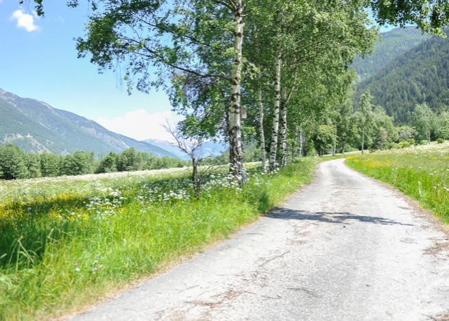 A0433 - Frühsommertag