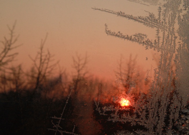 A0451 - Eisblumen im Sonnenuntergang, Berlin