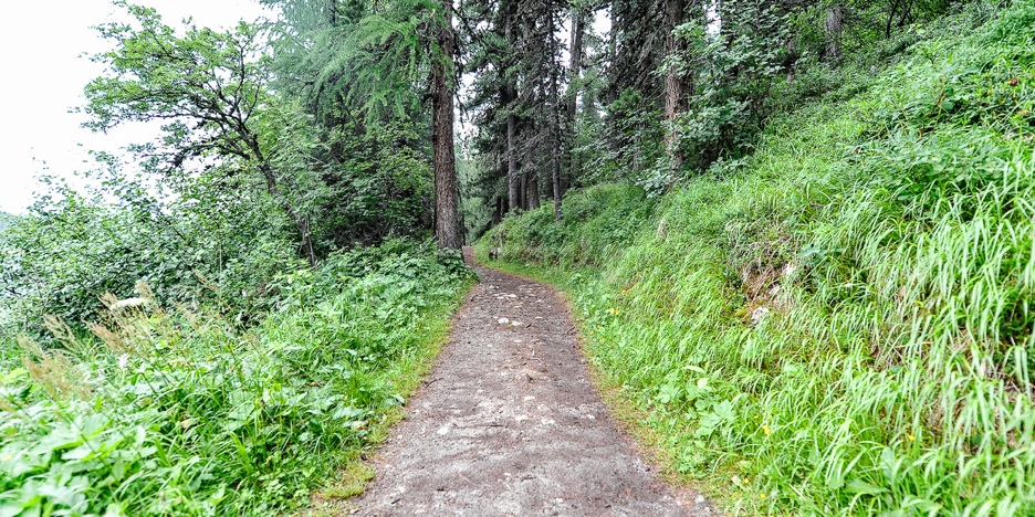 F0007 - Wanderweg