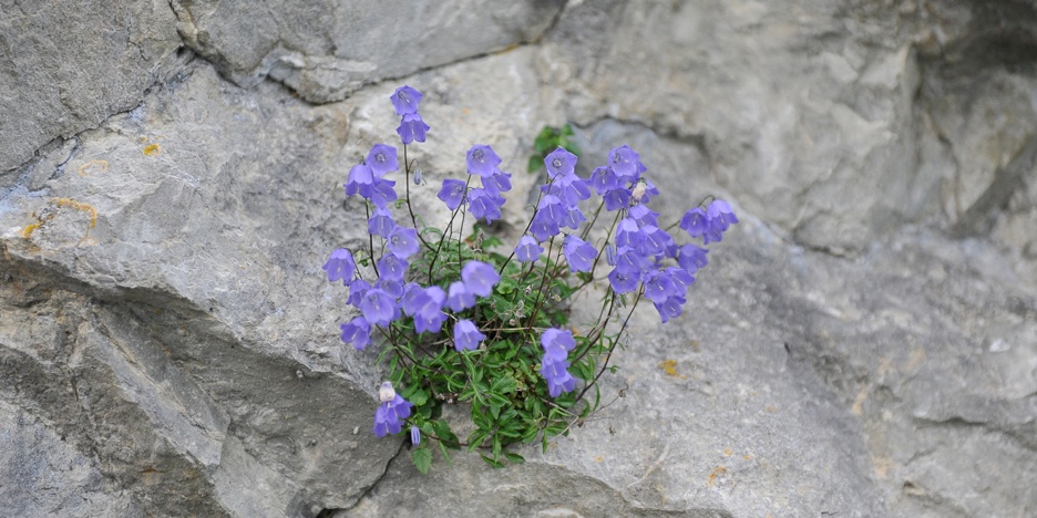 F0013 - Im Felsen